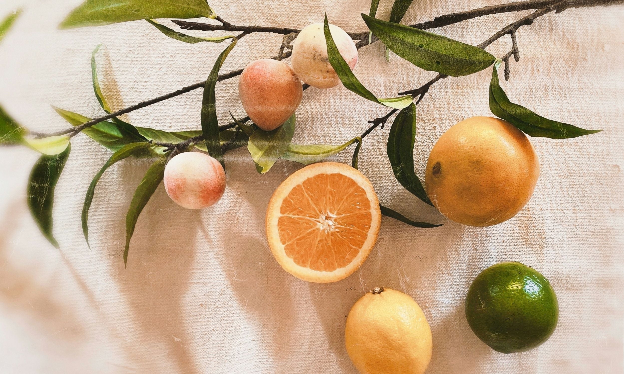 Juicy sniffi citrus notes for our summer of '26